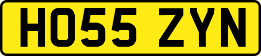 HO55ZYN