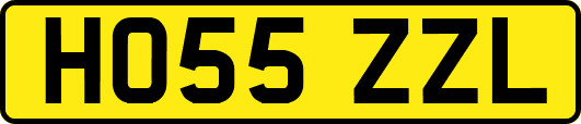 HO55ZZL