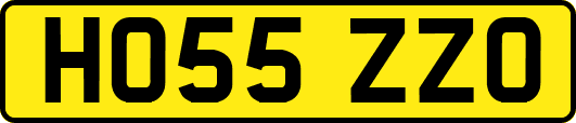 HO55ZZO