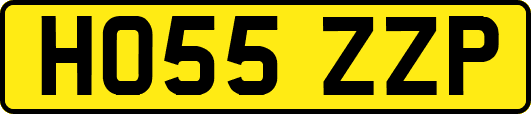 HO55ZZP