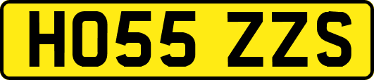 HO55ZZS