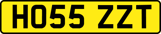HO55ZZT