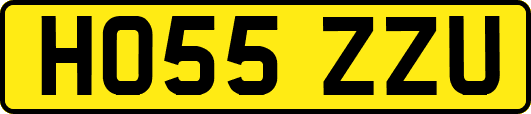 HO55ZZU