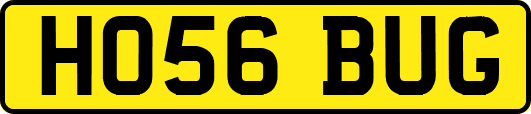 HO56BUG