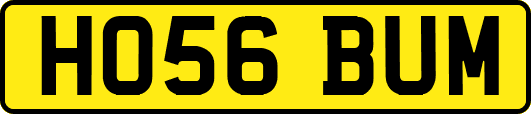 HO56BUM