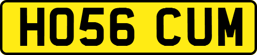 HO56CUM