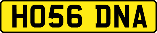 HO56DNA