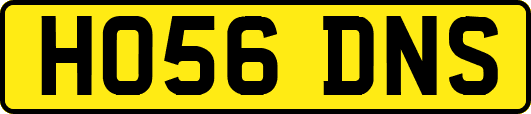 HO56DNS