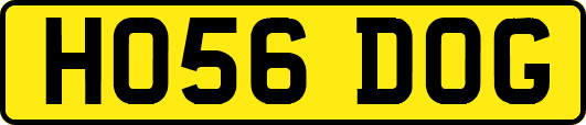 HO56DOG