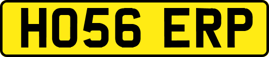 HO56ERP