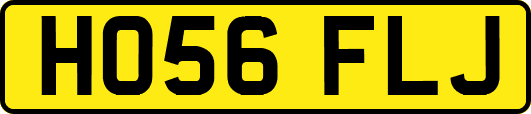 HO56FLJ
