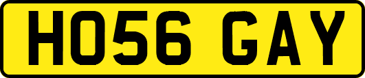 HO56GAY