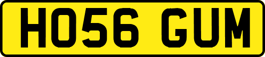 HO56GUM