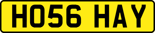 HO56HAY