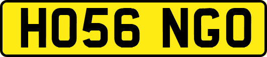 HO56NGO