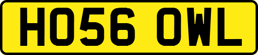 HO56OWL