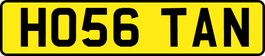 HO56TAN