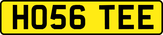 HO56TEE
