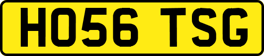 HO56TSG