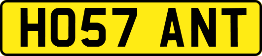 HO57ANT