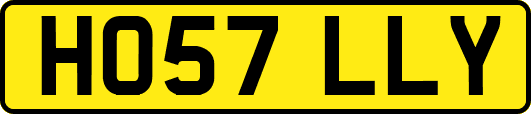 HO57LLY