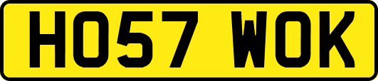 HO57WOK