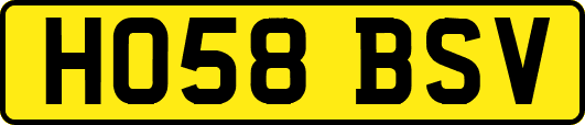 HO58BSV