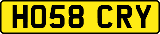 HO58CRY