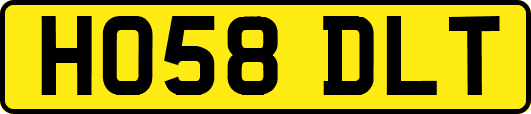 HO58DLT