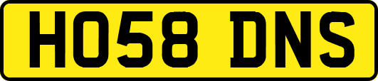 HO58DNS