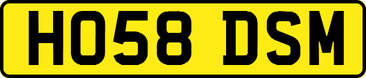 HO58DSM