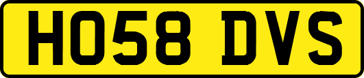 HO58DVS