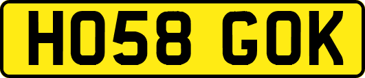 HO58GOK
