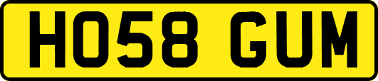 HO58GUM