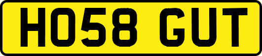 HO58GUT