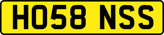 HO58NSS