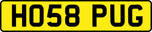 HO58PUG