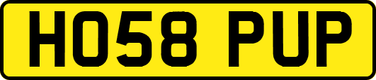 HO58PUP