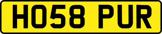 HO58PUR