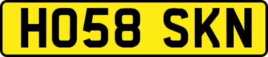 HO58SKN