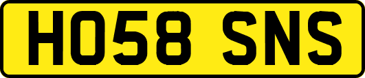 HO58SNS