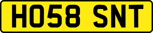 HO58SNT