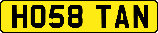 HO58TAN