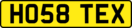 HO58TEX