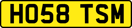 HO58TSM