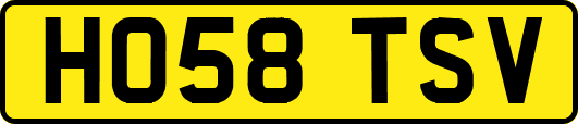 HO58TSV