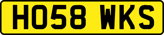 HO58WKS