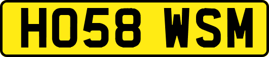 HO58WSM