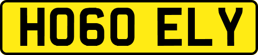 HO60ELY