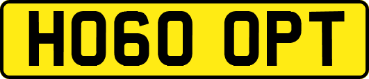 HO60OPT